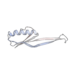 21623_6wd4_O_v1-3
Cryo-EM of elongating ribosome with EF-Tu*GTP elucidates tRNA proofreading (Cognate Structure II-B2)