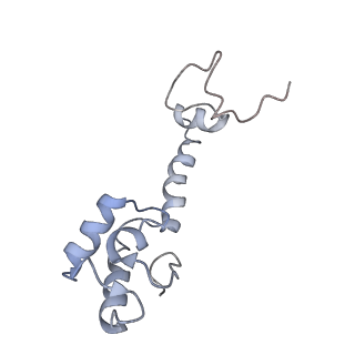 21623_6wd4_R_v1-2
Cryo-EM of elongating ribosome with EF-Tu*GTP elucidates tRNA proofreading (Cognate Structure II-B2)