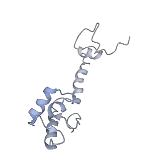 21623_6wd4_R_v1-3
Cryo-EM of elongating ribosome with EF-Tu*GTP elucidates tRNA proofreading (Cognate Structure II-B2)