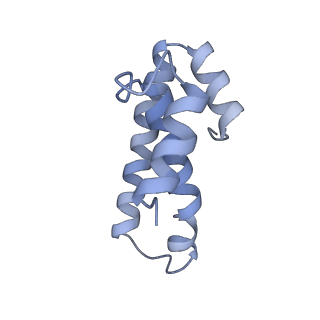 21623_6wd4_T_v1-2
Cryo-EM of elongating ribosome with EF-Tu*GTP elucidates tRNA proofreading (Cognate Structure II-B2)