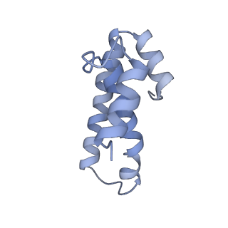 21623_6wd4_T_v1-3
Cryo-EM of elongating ribosome with EF-Tu*GTP elucidates tRNA proofreading (Cognate Structure II-B2)