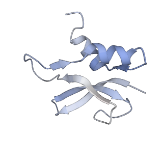 21623_6wd4_U_v1-2
Cryo-EM of elongating ribosome with EF-Tu*GTP elucidates tRNA proofreading (Cognate Structure II-B2)
