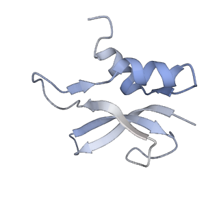 21623_6wd4_U_v1-3
Cryo-EM of elongating ribosome with EF-Tu*GTP elucidates tRNA proofreading (Cognate Structure II-B2)