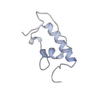 21623_6wd4_W_v1-2
Cryo-EM of elongating ribosome with EF-Tu*GTP elucidates tRNA proofreading (Cognate Structure II-B2)