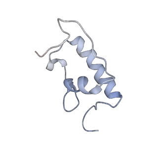 21623_6wd4_W_v1-3
Cryo-EM of elongating ribosome with EF-Tu*GTP elucidates tRNA proofreading (Cognate Structure II-B2)