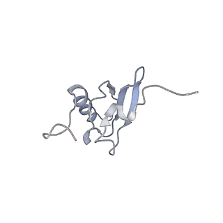 21623_6wd4_X_v1-2
Cryo-EM of elongating ribosome with EF-Tu*GTP elucidates tRNA proofreading (Cognate Structure II-B2)