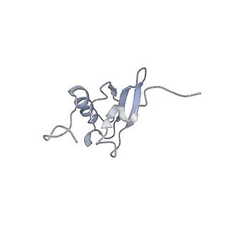 21623_6wd4_X_v1-3
Cryo-EM of elongating ribosome with EF-Tu*GTP elucidates tRNA proofreading (Cognate Structure II-B2)