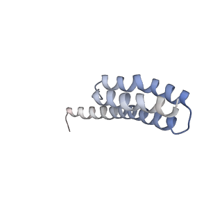 21623_6wd4_Y_v1-2
Cryo-EM of elongating ribosome with EF-Tu*GTP elucidates tRNA proofreading (Cognate Structure II-B2)