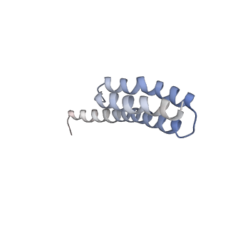 21623_6wd4_Y_v1-3
Cryo-EM of elongating ribosome with EF-Tu*GTP elucidates tRNA proofreading (Cognate Structure II-B2)