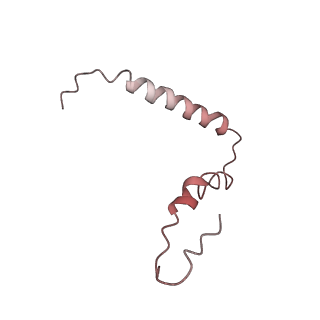 21623_6wd4_Z_v1-2
Cryo-EM of elongating ribosome with EF-Tu*GTP elucidates tRNA proofreading (Cognate Structure II-B2)