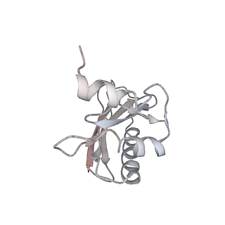 21623_6wd4_a_v1-3
Cryo-EM of elongating ribosome with EF-Tu*GTP elucidates tRNA proofreading (Cognate Structure II-B2)