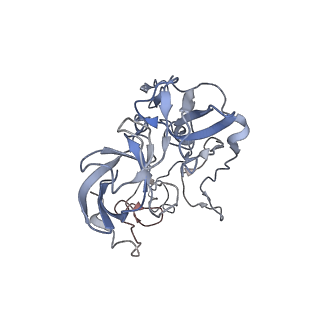 21623_6wd4_b_v1-2
Cryo-EM of elongating ribosome with EF-Tu*GTP elucidates tRNA proofreading (Cognate Structure II-B2)