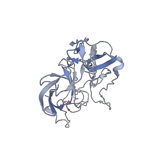 21623_6wd4_b_v1-3
Cryo-EM of elongating ribosome with EF-Tu*GTP elucidates tRNA proofreading (Cognate Structure II-B2)