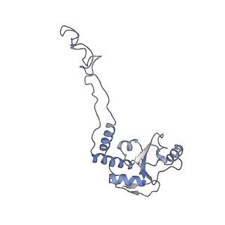 21623_6wd4_d_v1-3
Cryo-EM of elongating ribosome with EF-Tu*GTP elucidates tRNA proofreading (Cognate Structure II-B2)