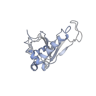 21623_6wd4_e_v1-2
Cryo-EM of elongating ribosome with EF-Tu*GTP elucidates tRNA proofreading (Cognate Structure II-B2)