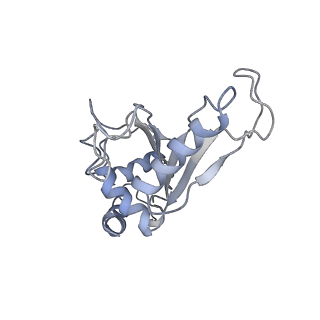 21623_6wd4_e_v1-3
Cryo-EM of elongating ribosome with EF-Tu*GTP elucidates tRNA proofreading (Cognate Structure II-B2)