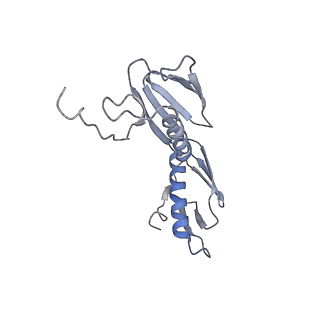21623_6wd4_f_v1-2
Cryo-EM of elongating ribosome with EF-Tu*GTP elucidates tRNA proofreading (Cognate Structure II-B2)