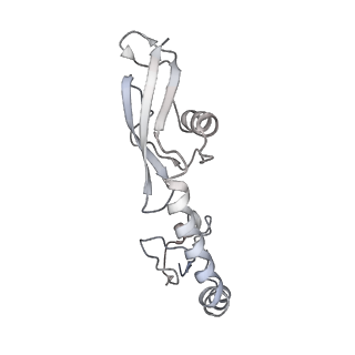 21623_6wd4_g_v1-2
Cryo-EM of elongating ribosome with EF-Tu*GTP elucidates tRNA proofreading (Cognate Structure II-B2)