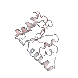 21623_6wd4_h_v1-2
Cryo-EM of elongating ribosome with EF-Tu*GTP elucidates tRNA proofreading (Cognate Structure II-B2)