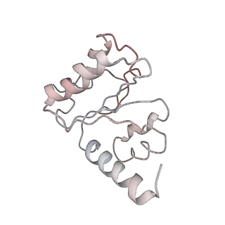 21623_6wd4_h_v1-3
Cryo-EM of elongating ribosome with EF-Tu*GTP elucidates tRNA proofreading (Cognate Structure II-B2)