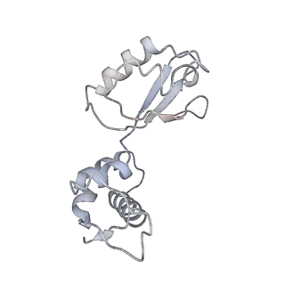 21623_6wd4_i_v1-2
Cryo-EM of elongating ribosome with EF-Tu*GTP elucidates tRNA proofreading (Cognate Structure II-B2)