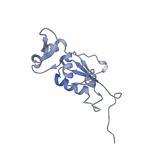 21623_6wd4_j_v1-2
Cryo-EM of elongating ribosome with EF-Tu*GTP elucidates tRNA proofreading (Cognate Structure II-B2)