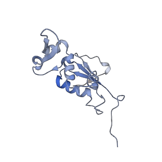 21623_6wd4_j_v1-3
Cryo-EM of elongating ribosome with EF-Tu*GTP elucidates tRNA proofreading (Cognate Structure II-B2)