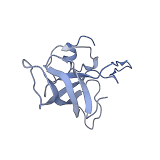 21623_6wd4_k_v1-2
Cryo-EM of elongating ribosome with EF-Tu*GTP elucidates tRNA proofreading (Cognate Structure II-B2)