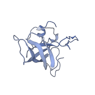 21623_6wd4_k_v1-3
Cryo-EM of elongating ribosome with EF-Tu*GTP elucidates tRNA proofreading (Cognate Structure II-B2)