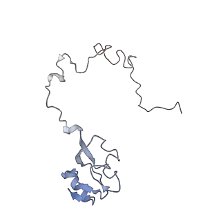 21623_6wd4_l_v1-2
Cryo-EM of elongating ribosome with EF-Tu*GTP elucidates tRNA proofreading (Cognate Structure II-B2)