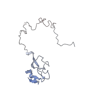 21623_6wd4_l_v1-3
Cryo-EM of elongating ribosome with EF-Tu*GTP elucidates tRNA proofreading (Cognate Structure II-B2)