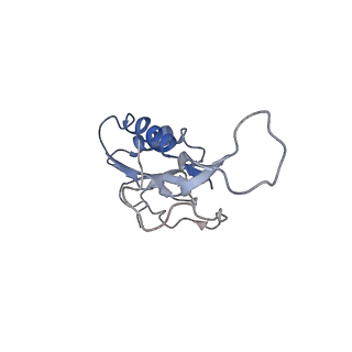 21623_6wd4_m_v1-2
Cryo-EM of elongating ribosome with EF-Tu*GTP elucidates tRNA proofreading (Cognate Structure II-B2)