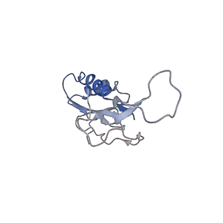 21623_6wd4_m_v1-3
Cryo-EM of elongating ribosome with EF-Tu*GTP elucidates tRNA proofreading (Cognate Structure II-B2)