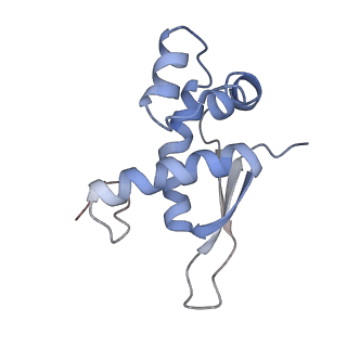 21623_6wd4_n_v1-2
Cryo-EM of elongating ribosome with EF-Tu*GTP elucidates tRNA proofreading (Cognate Structure II-B2)