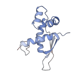 21623_6wd4_n_v1-3
Cryo-EM of elongating ribosome with EF-Tu*GTP elucidates tRNA proofreading (Cognate Structure II-B2)