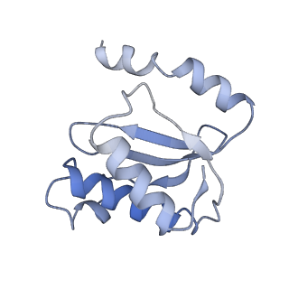21623_6wd4_o_v1-2
Cryo-EM of elongating ribosome with EF-Tu*GTP elucidates tRNA proofreading (Cognate Structure II-B2)