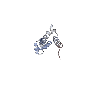21623_6wd4_q_v1-2
Cryo-EM of elongating ribosome with EF-Tu*GTP elucidates tRNA proofreading (Cognate Structure II-B2)