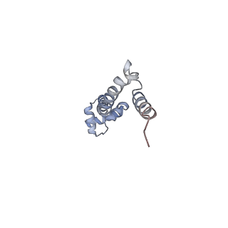 21623_6wd4_q_v1-3
Cryo-EM of elongating ribosome with EF-Tu*GTP elucidates tRNA proofreading (Cognate Structure II-B2)