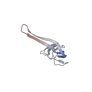 21623_6wd4_r_v1-3
Cryo-EM of elongating ribosome with EF-Tu*GTP elucidates tRNA proofreading (Cognate Structure II-B2)