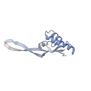 21623_6wd4_s_v1-2
Cryo-EM of elongating ribosome with EF-Tu*GTP elucidates tRNA proofreading (Cognate Structure II-B2)
