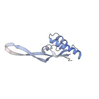 21623_6wd4_s_v1-3
Cryo-EM of elongating ribosome with EF-Tu*GTP elucidates tRNA proofreading (Cognate Structure II-B2)