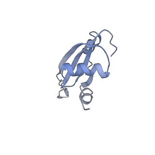 21623_6wd4_t_v1-2
Cryo-EM of elongating ribosome with EF-Tu*GTP elucidates tRNA proofreading (Cognate Structure II-B2)
