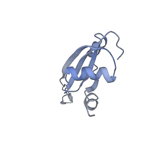 21623_6wd4_t_v1-3
Cryo-EM of elongating ribosome with EF-Tu*GTP elucidates tRNA proofreading (Cognate Structure II-B2)