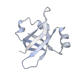 21623_6wd4_v_v1-2
Cryo-EM of elongating ribosome with EF-Tu*GTP elucidates tRNA proofreading (Cognate Structure II-B2)