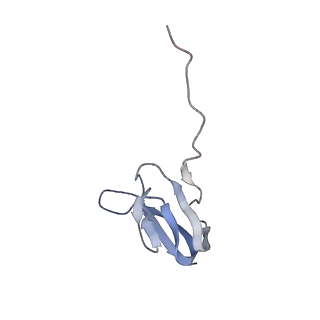 21623_6wd4_w_v1-2
Cryo-EM of elongating ribosome with EF-Tu*GTP elucidates tRNA proofreading (Cognate Structure II-B2)
