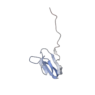 21623_6wd4_w_v1-3
Cryo-EM of elongating ribosome with EF-Tu*GTP elucidates tRNA proofreading (Cognate Structure II-B2)