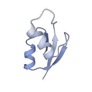 21623_6wd4_z_v1-2
Cryo-EM of elongating ribosome with EF-Tu*GTP elucidates tRNA proofreading (Cognate Structure II-B2)