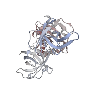 21624_6wd5_8_v1-2
Cryo-EM of elongating ribosome with EF-Tu*GTP elucidates tRNA proofreading (Cognate Structure II-C1)