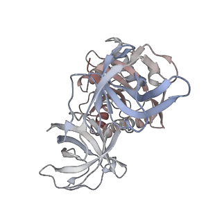 21624_6wd5_8_v1-3
Cryo-EM of elongating ribosome with EF-Tu*GTP elucidates tRNA proofreading (Cognate Structure II-C1)