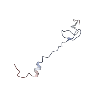 21624_6wd5_B_v1-2
Cryo-EM of elongating ribosome with EF-Tu*GTP elucidates tRNA proofreading (Cognate Structure II-C1)